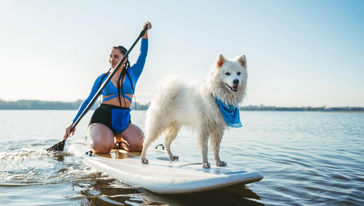 A woman and her white dog on a paddle board on a lake 
