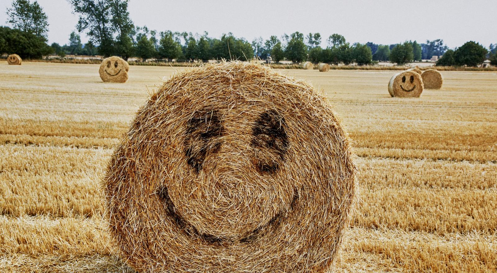 Come funziona il commodity trading