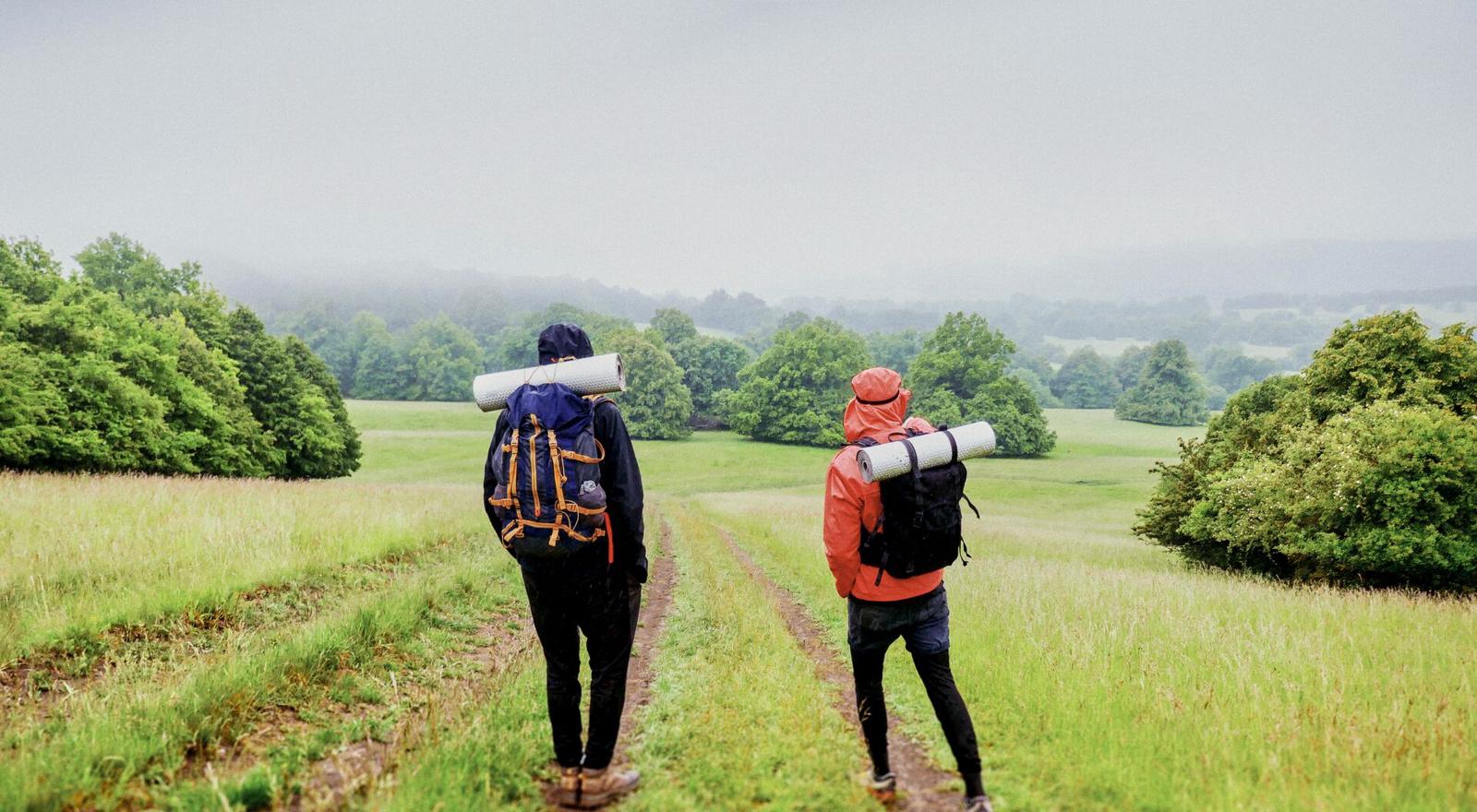 Large Web and Screen Back view of two backpackers walking on a hiking trail in nature
