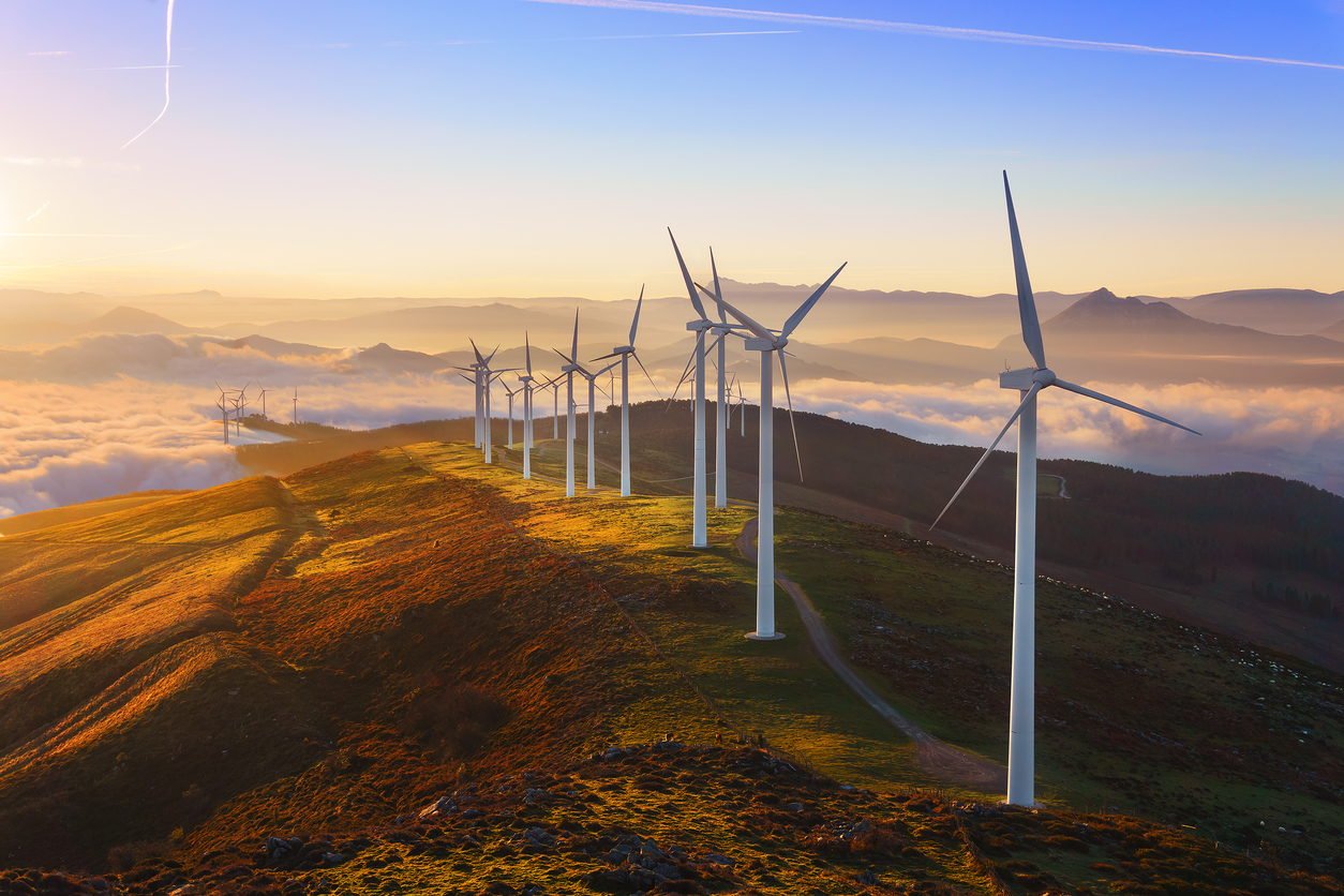 wind turbines are standing next to the field 