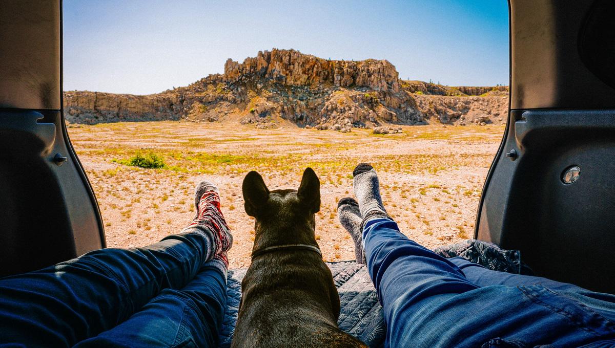 Two people and a dog lay down and look out the open car trunk