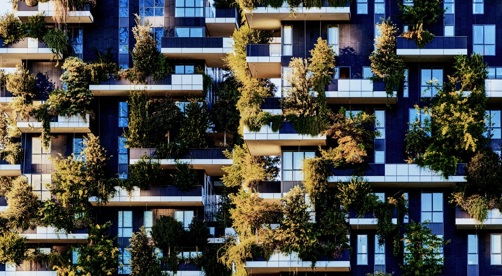 View of trees and buildings (1)