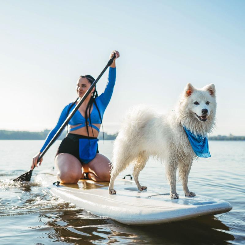 woman dog 800x800