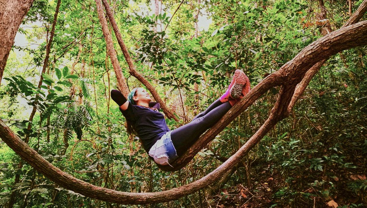 Woman relaxing in tree hammock in rainforest